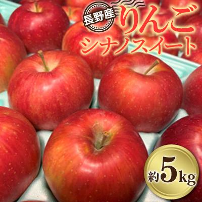ふるさと納税 飯田市 長野県産 りんご「シナノスイート」約5kg[2026年9月〜11月発送]