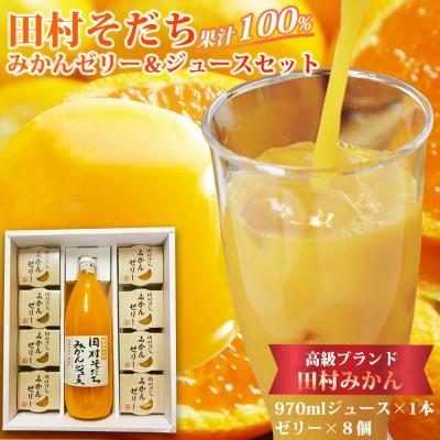 ふるさと納税 湯浅町 田村そだちみかんゼリー&amp;ジュースセット