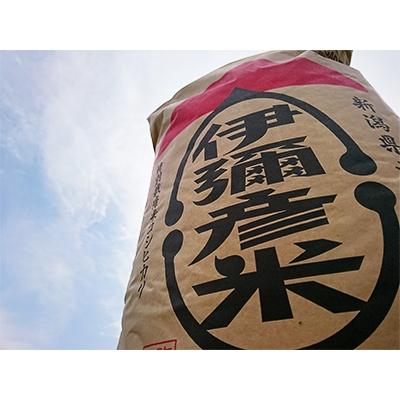 ふるさと納税 弥彦村 【令和7年産・皇室献上米 伊彌彦米コシヒカリ】玄米30kg (2018年新嘗祭献上) 新潟県 弥彦村の画像