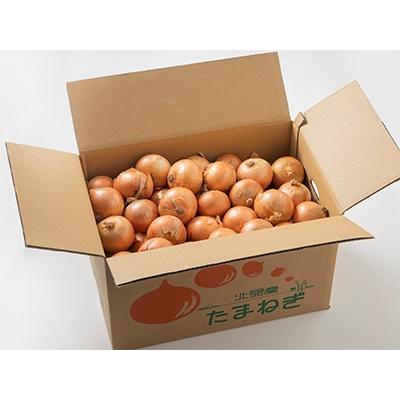 ふるさと納税 北見市 【2026年9月下旬以降発送】北海道　北見産　玉ねぎ　20kg |  | 02