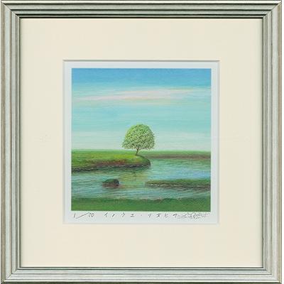 ふるさと納税 茨木市 水辺の木Sq