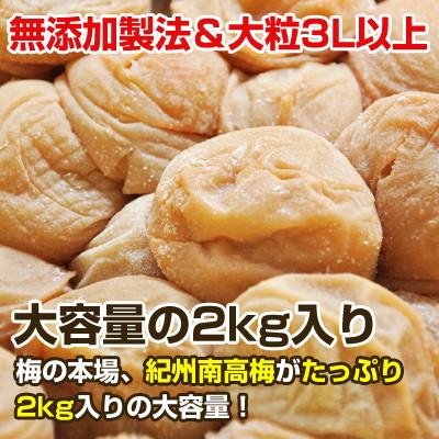 ふるさと納税 御坊市 昔ながらのしょっぱい梅干し 白干梅 2kg すっぱい 紀州南高梅  無添加 大粒3L以上 和歌山県産 |  | 02