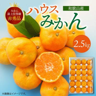 ふるさと納税 湯浅町 [先行受付][赤秀品]紀州和歌山ハウスみかん2.5kg 化粧箱入