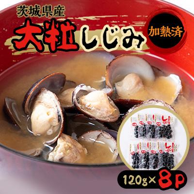 ふるさと納税 潮来市 茨城県産大粒しじみ(加熱済)120g 8パック入り