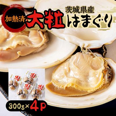 ふるさと納税 潮来市 茨城県産大粒はまぐり(加熱済)300g 4パック入り