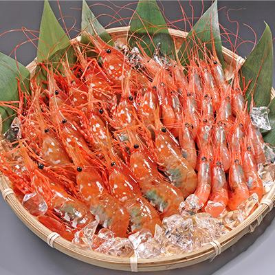 ふるさと納税 白老町 プリプリ海老セット[ボタンエビ500g、甘エビ500g]