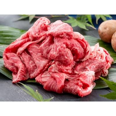 ふるさと納税 唐津市 ばってん唐津[佐賀産和牛]切り落とし! 500g×2セット 合計1kg