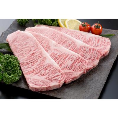 ふるさと納税 唐津市 ばってん唐津[佐賀牛]サーロインステーキ200g×4枚、ローストビーフ 3個入りで700g セット