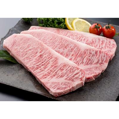 ふるさと納税 唐津市 ばってん唐津[佐賀牛三昧セット]佐賀牛ステーキ、しゃぶしゃぶ、ローストビーフ、ハンバーグセット
