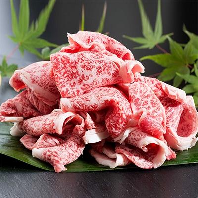 ふるさと納税 唐津市 佐賀牛三昧4.4kg!佐賀牛焙じる牛肉500g、佐賀牛切り落とし3kg、佐賀牛ビフテキ900g