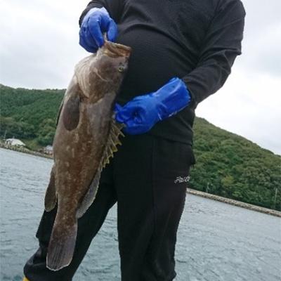 ふるさと納税 対馬市 【対馬産】最高級クエ:鍋セット(2〜3人前) |  | 02