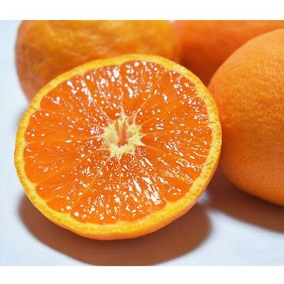 ふるさと納税 湯浅町 とっても美味しいカラマンダリン 5kg