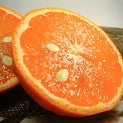 ふるさと納税 湯浅町 カラマンダリン[約5kg]和歌山県有田産春みかん(果実サイズおまかせ)