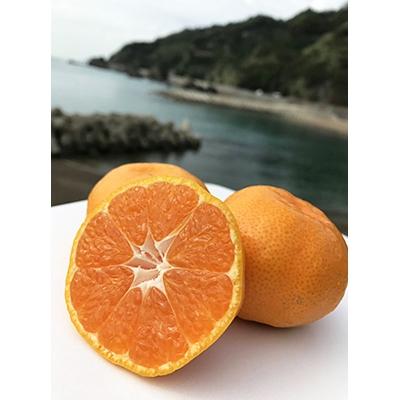 ふるさと納税 湯浅町 天の恵み[温州みかんMサイズ特選5kg]