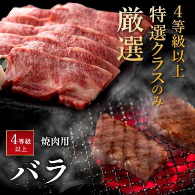 ふるさと納税 近江八幡市 極上近江牛焼肉用(バラ)【500g】 |  | 03