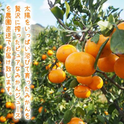 ふるさと納税 日高川町 みかん農家が作った 温州みかんジュース 果汁