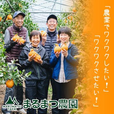 ふるさと納税 日高川町 みかん農家が作った 温州みかんジュース 果汁