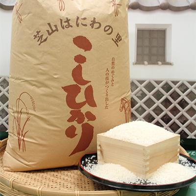 ふるさと納税 芝山町 [令和7年産]芝山町産コシヒカリ5kg(精米)