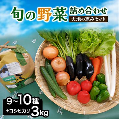 ふるさと納税 芝山町 旬野菜の詰め合わせ 「大地の恵みセット」9〜10種+コシヒカリ3kg[令和7年産 ]