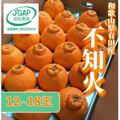 ふるさと納税 湯浅町 和歌山産 不知火[デコポン] 5kg 秀品 (12玉〜18玉)