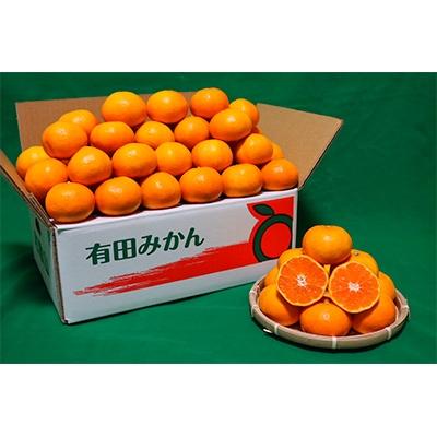 ふるさと納税 湯浅町 先行受付2026年11月より順次発送[まごころ手選別]有田みかん5kg小玉(3S〜Sサイズ混合)