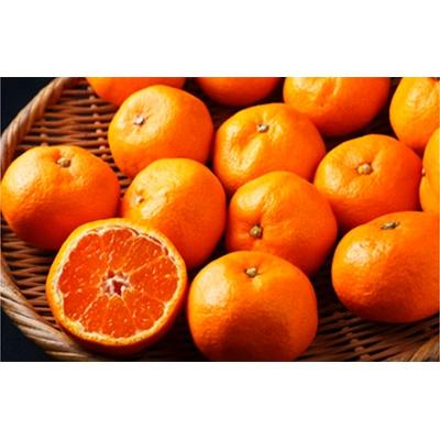 ふるさと納税 湯浅町 [まごころ手選別]和歌山の有田みかん5kg S・Mサイズ混合[2026年11月より順次発送]