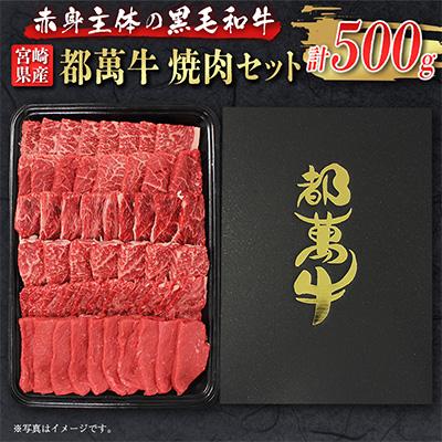 ふるさと納税 新富町 都萬牛 焼肉500g