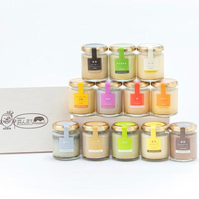 ふるさと納税 時津町 浜んまちPUDDING 厳選プリンづくし12種詰合せ