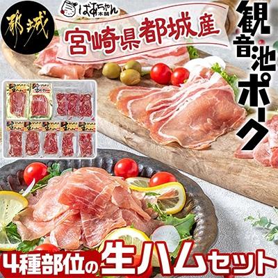ふるさと納税 都城市 都城産「観音池ポーク」4種部位の生ハムセット | 
