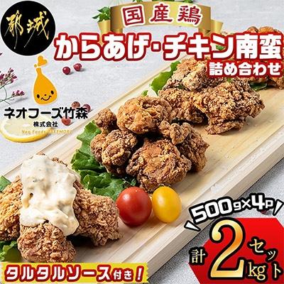 ふるさと納税 都城市 [宮崎県 都城市]からあげ・チキン南蛮詰め合わせ 2kgセット