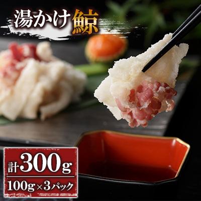 ふるさと納税 長崎市 湯かけ鯨(100g×3)