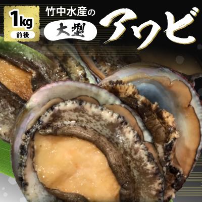 ふるさと納税 八幡浜市 竹中水産の嗜好の大型アワビ(1kg前後)![H22-227]