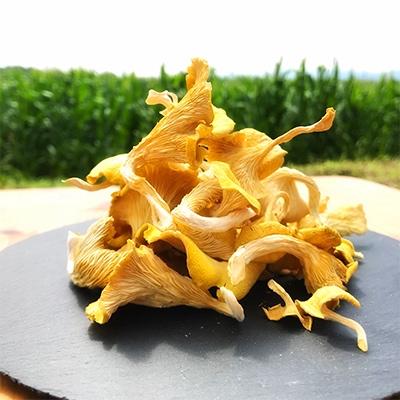 ふるさと納税 あさぎり町 うま味が魅力の 「花咲たもぎ茸」(乾燥タイプ)100g×1袋