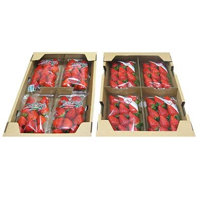 ふるさと納税 三豊市 [1月以降発送]三豊のいちご食べ比べセット 2kg