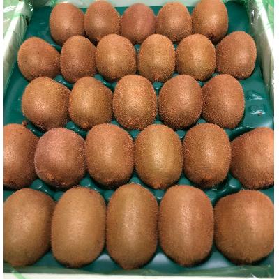 ふるさと納税 三豊市 曽根農園のヘイワードキウイ(3kg 24〜33玉入り)