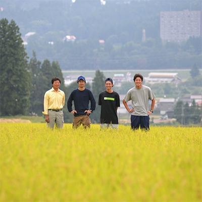 ふるさと納税 南魚沼市 6年連続金賞受賞　南魚沼塩沢産コシヒカリ5kg　関家のこだわり米　栽培期間中農薬8割減栽培_3