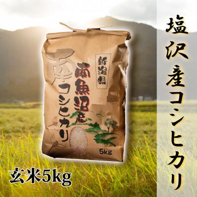 ふるさと納税 南魚沼市 [令和8年産 新米][高級]南魚沼塩沢産こしひかり玄米5kg 新潟の特A地区南魚沼の美味しいお米
