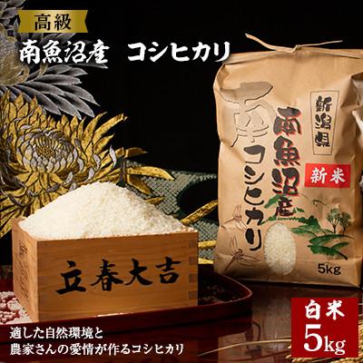 ふるさと納税 南魚沼市 [令和7年産 ][高級]南魚沼産こしひかり5kg(白米)