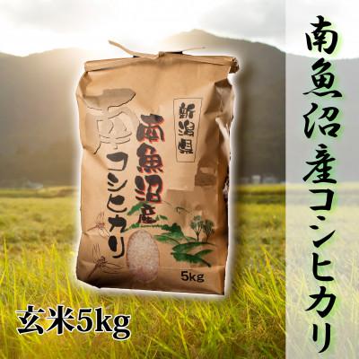 ふるさと納税 南魚沼市 [令和8年産 新米][高級]南魚沼産こしひかり5kg(玄米) 新潟県の特A地区南魚沼市の美味しいお米