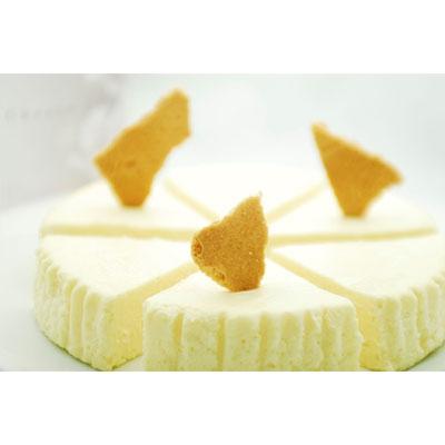 ふるさと納税 丹波市 プレミアムニューヨークチーズケーキ(1ホール)