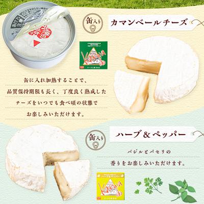 ふるさと納税 安平町 高評価! 角谷 カマンベールチーズセット【125g×4個】 |  | 02