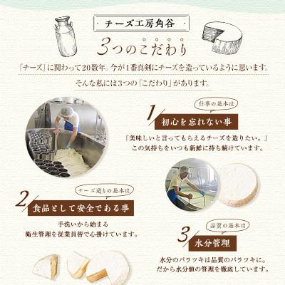 ふるさと納税 安平町 高評価! 角谷 カマンベールチーズセット【125g×4個】 |  | 03