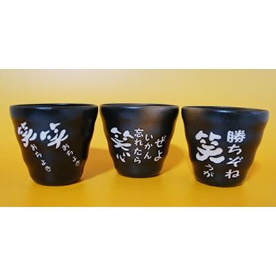 ふるさと納税 南国市 土佐弁焼酎カップ3個セット