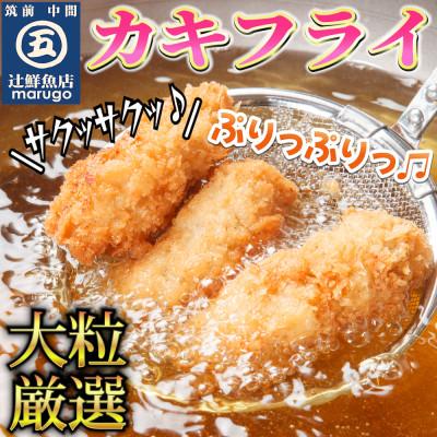 ふるさと納税 中間市 サクサクッ!国産大粒カキフライ20粒(約500g)