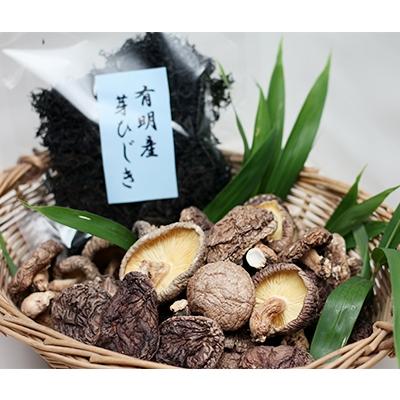 ふるさと納税 長洲町 熊本県産干し椎茸160g×1袋・有明産芽ひじき100g×1袋セット