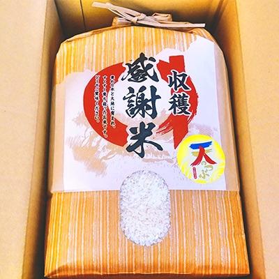 ふるさと納税 須賀川市 お米 天のつぶ(白米・精米)5kg