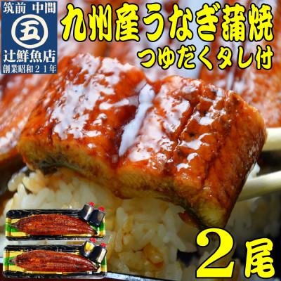 ふるさと納税 中間市 九州産うなぎ蒲焼2尾 秘伝つゆだくタレ付 中間市老舗マル五「辻鮮魚店」の味