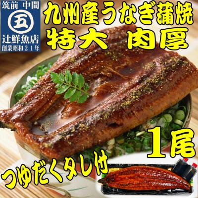 ふるさと納税 中間市 肉厚九州産うなぎ蒲焼1尾つゆだくタレ付 中間市老舗マル五 辻鮮魚店の秘伝の味