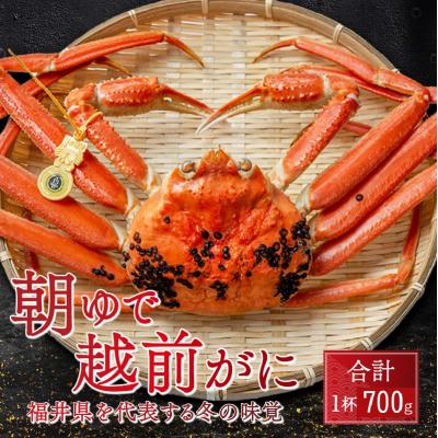 ふるさと納税 小浜市 [先行受付][2月上旬から順次発送]朝ゆで越前ガニ1杯[約700g]