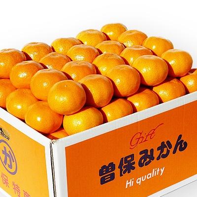 ふるさと納税 宇多津町 【秀品】香川県産 完熟厳選の曽保みかん10kg